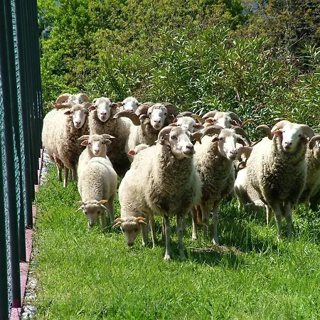Κατάλυμα σε φάρμα Casas Do Toural