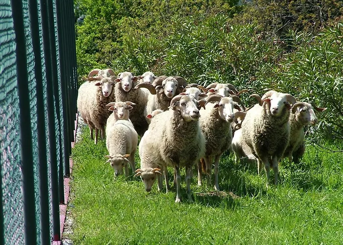 ファームステイ Casas Do Toural